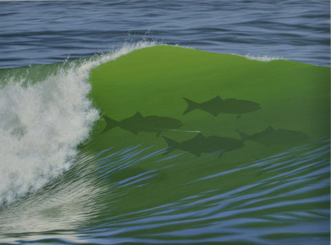 "To Surf or Fish"