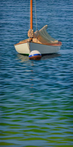 "Moored Cat"
